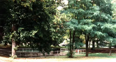 Rannstedt1
